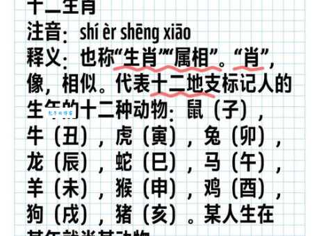 装腔作势打一准确生肖 揭秘正确答案