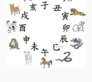 志同道合打一个生肖看看你和朋友猜的一样吗