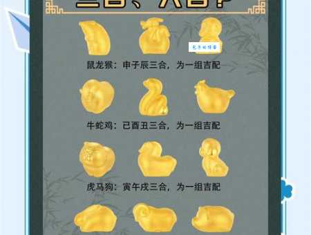 志同道合打一个生肖看看你和朋友猜的一样吗