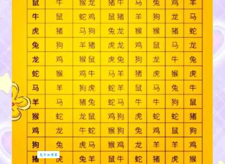 肆言无惮是什么生肖 揭秘说话最冲的几大生肖