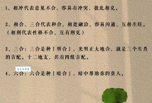 肆言无惮是什么生肖 揭秘说话最冲的几大生肖