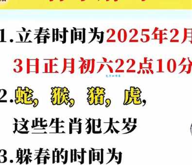 龟鹤之年最佳答案一肖生肖解析大公开