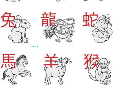 慌不择路是什么生肖 看看哪些生肖容易手忙脚乱