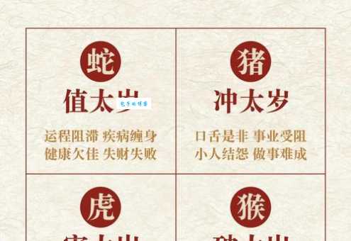 慌不择路是什么生肖 看看哪些生肖容易手忙脚乱