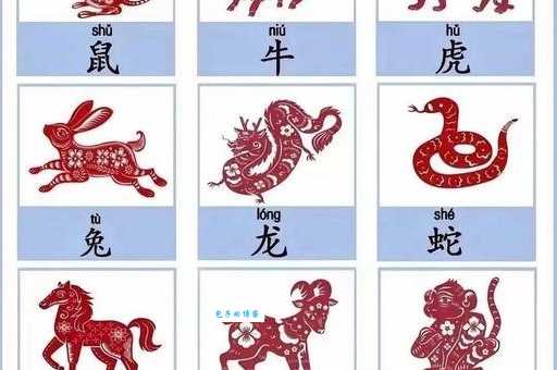 骗口张舌指什么生肖 这些生肖说话要当心