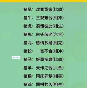 碧空如洗打一生肖答案揭晓原来是指这个属相