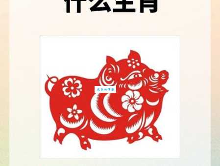 风靡一世打一正确生肖揭秘答案让人意外