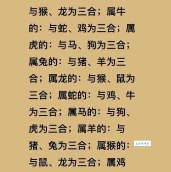 理直气壮的动物是什么生肖 揭秘最自信的属相