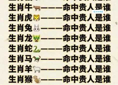 眼明手快是什么生肖 揭秘反应最快的生肖