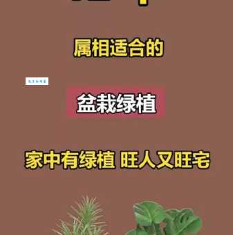 青草绿叶布满地是什么生肖 这个属相最配大自然