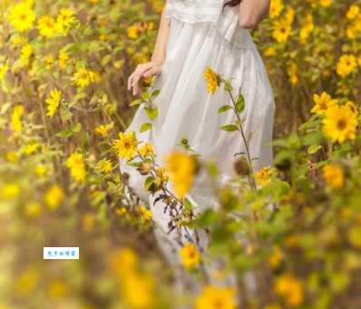 黄花女儿是指哪个生肖这个生肖很特别