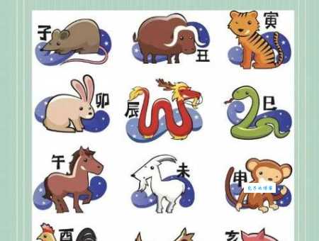 逗留不进打最准确一个生肖原来是它你猜对了吗