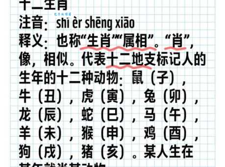 孟晚舟的生肖是啥 属相与命运有何关联