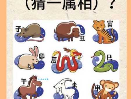 一树一春满山绿打一生肖你猜对了吗快来看看