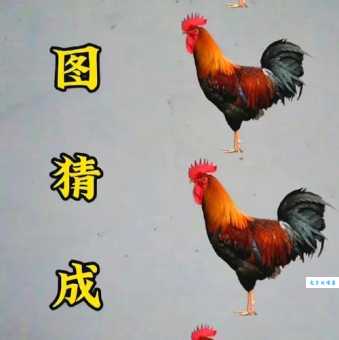 滴水不漏打一动物生肖老司机都猜错了你试试看