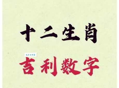 露水夫妻猜一生肖原来这个生肖最符合描述