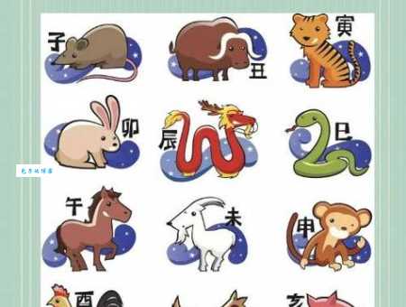 日伏夜出是指什么生肖 看看哪些动物喜欢夜晚