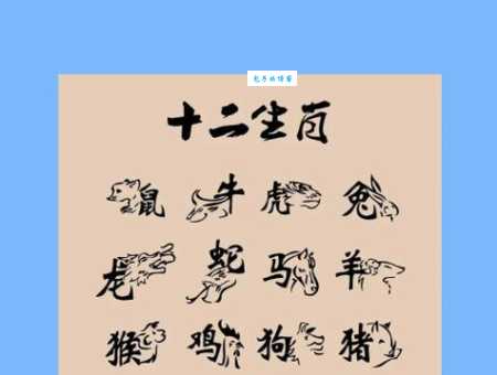 日伏夜出是指什么生肖 看看哪些动物喜欢夜晚