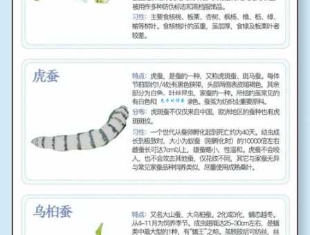 春蚕抽丝代表哪个生肖 快来了解一下吧