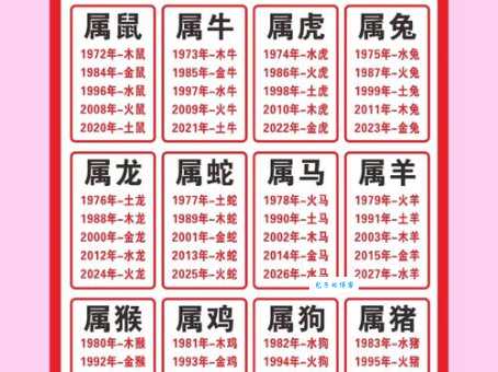 卓识远见是什么生肖 揭秘十二生肖中最具远见的动物