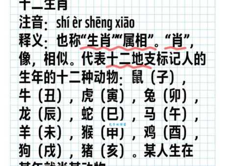 卓识远见是什么生肖 揭秘十二生肖中最具远见的动物