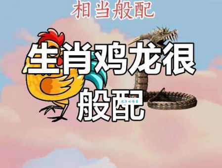 十二生肖中惹人注目的动物是龙还是鸡