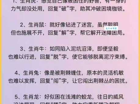 委曲求全指什么生肖 生活中最常让步的生肖