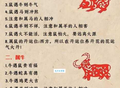 无所不知是什么生肖 十二生肖智慧大比拼