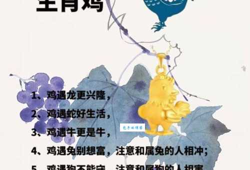 一将功成万骨枯代表什么生肖 答案让人意想不到