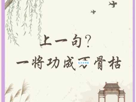 一将功成万骨枯代表什么生肖 答案让人意想不到