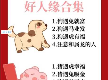 耍两面派指的是什么生肖 十二生肖谁最会演戏