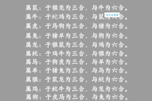 耍两面派指的是什么生肖 十二生肖谁最会演戏