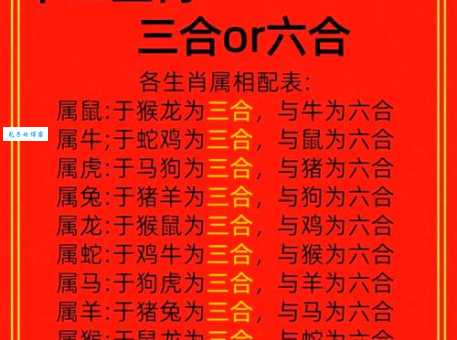 尽收眼底是什么生肖 哪个生肖能一眼看穿所有