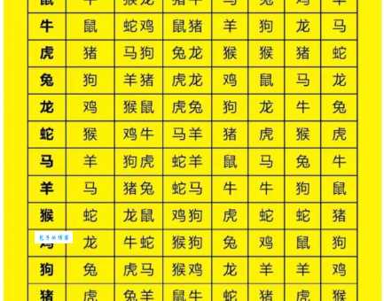 徒有虚名是什么生肖 这些生肖表面光鲜实际不然