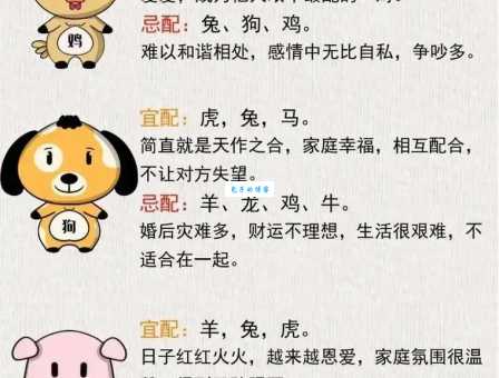 八斗之才指什么生肖 十二生肖谁最有学问