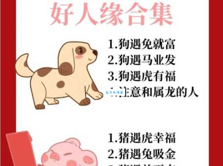 八斗之才是什么生肖 揭秘最聪明的生肖排名