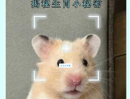 八斗之才是什么生肖 揭秘最聪明的生肖排名