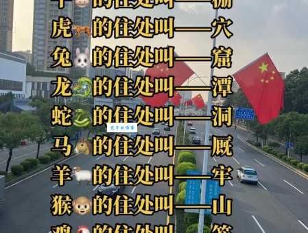 想知道一九日出十光明准确的生肖看这里