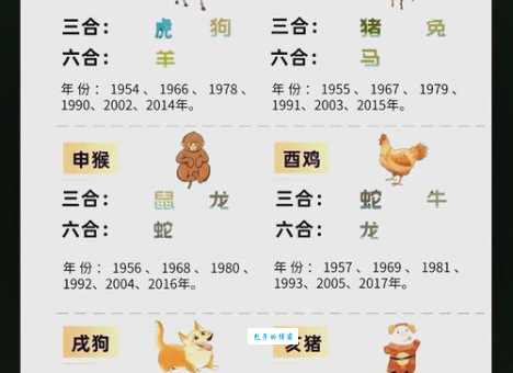 点滴归公指什么生肖 十二生肖中哪个最符合