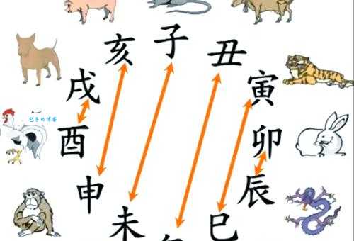 花颜月貌是什么生肖 生肖与美貌的奇妙联系