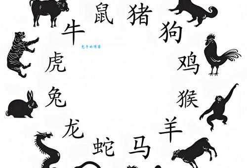 一阴一阳好发财打一正确生肖看看你中没中