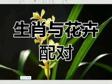 开花结果是什么生肖 这几个生肖最旺财运