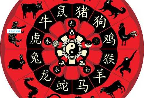 义无反顾是什么生肖 哪些生肖最有勇往直前精神