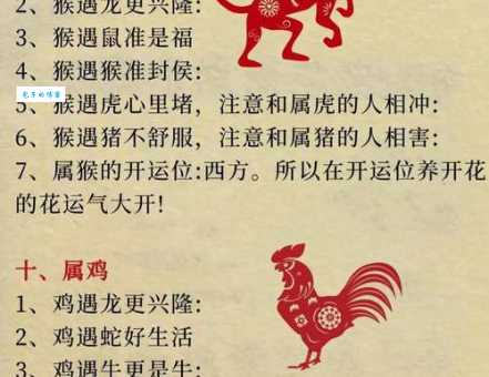 仰屋兴叹指什么生肖 揭秘十二生肖中谁最无奈