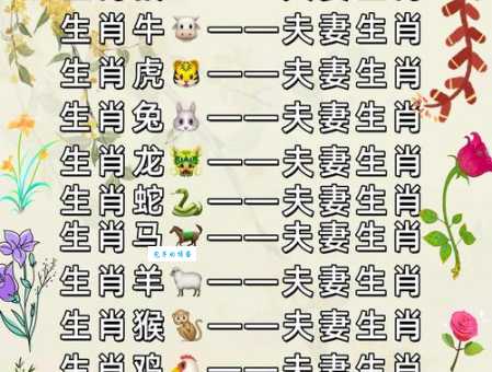天生一对成伴侣是什么生肖 看看你和谁最配
