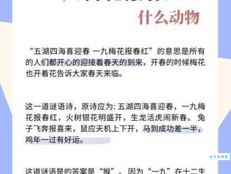 五湖四诲一片空代表哪个生肖快来看