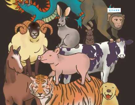 瓜田李下打一生肖快来猜猜是什么动物