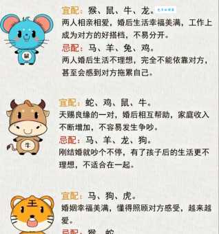 十二生肖中脚踏实地最佳生肖有你吗