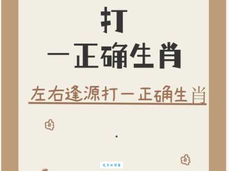 照猫画虎打一个生肖猜猜看是什么动物