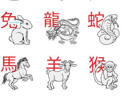 无所不有指什么生肖 十二生肖中谁最全能